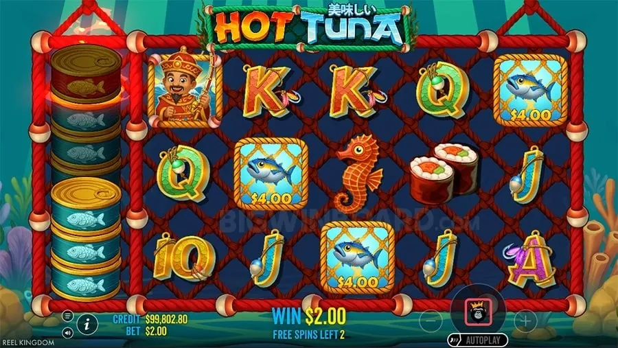 sportsplus Gambling Glossary of Terms
